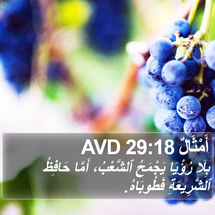أَمْثَالٌ 29:18 AVD Bible Study