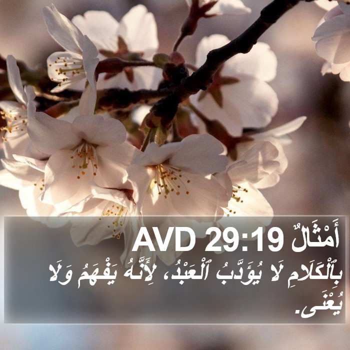 أَمْثَالٌ 29:19 AVD Bible Study