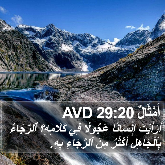 أَمْثَالٌ 29:20 AVD Bible Study