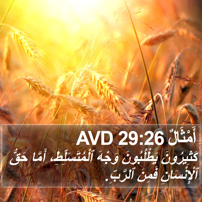 أَمْثَالٌ 29:26 AVD Bible Study