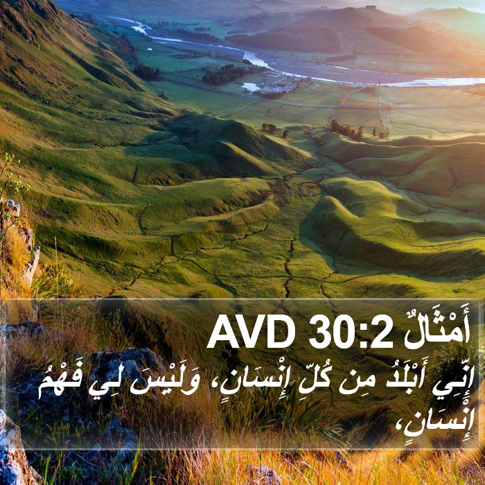 أَمْثَالٌ 30:2 AVD Bible Study