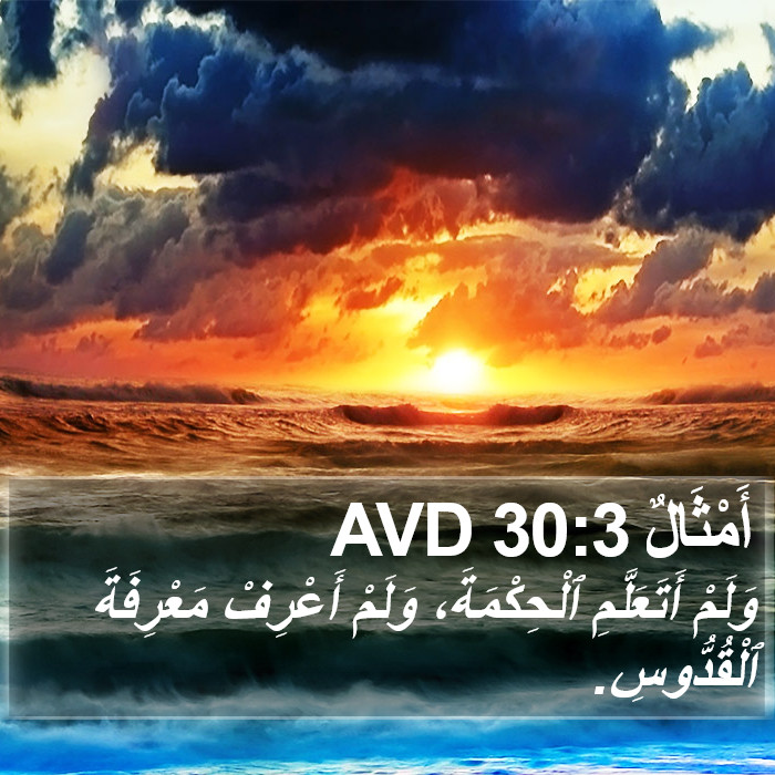 أَمْثَالٌ 30:3 AVD Bible Study
