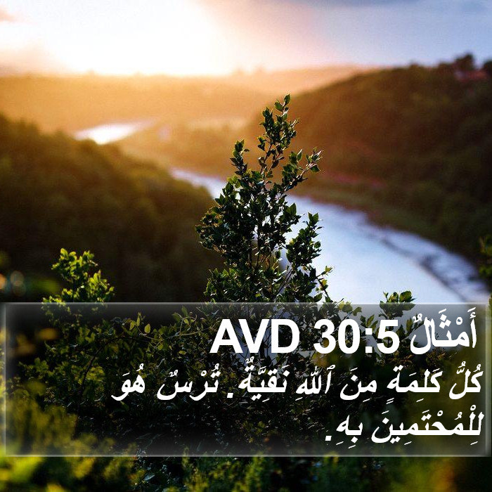 أَمْثَالٌ 30:5 AVD Bible Study
