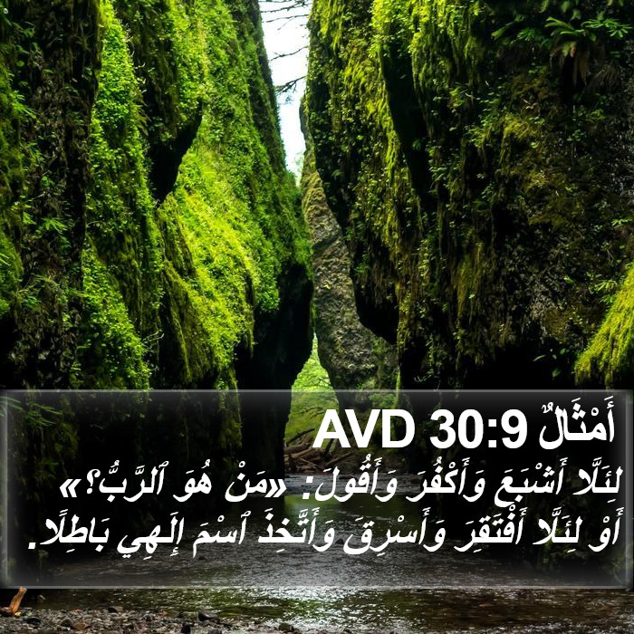 أَمْثَالٌ 30:9 AVD Bible Study