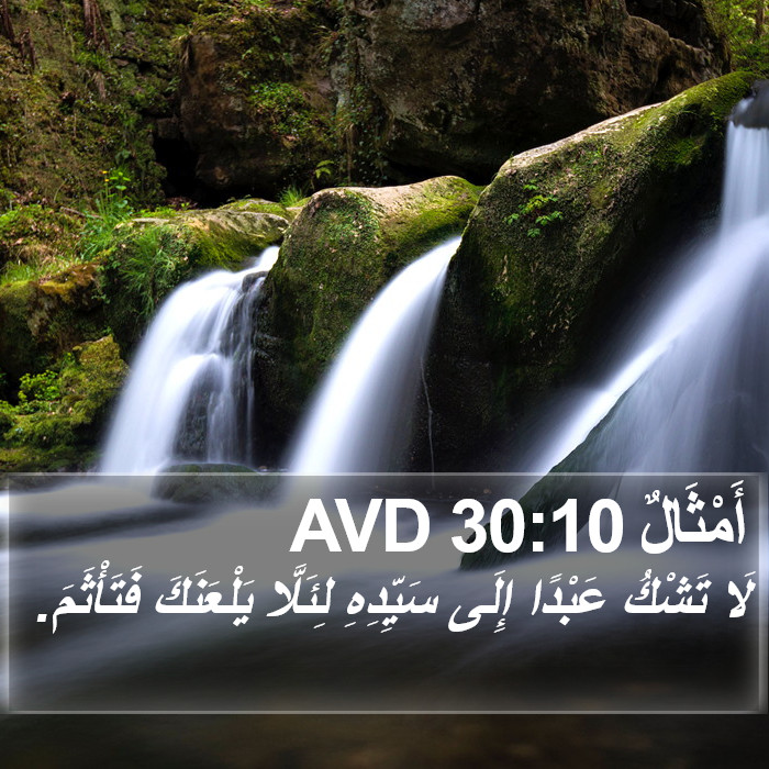 أَمْثَالٌ 30:10 AVD Bible Study