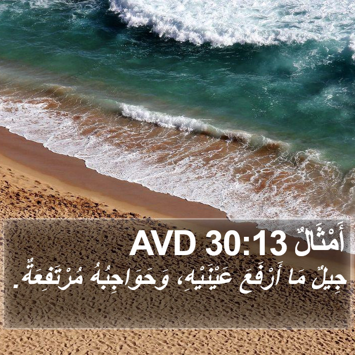 أَمْثَالٌ 30:13 AVD Bible Study