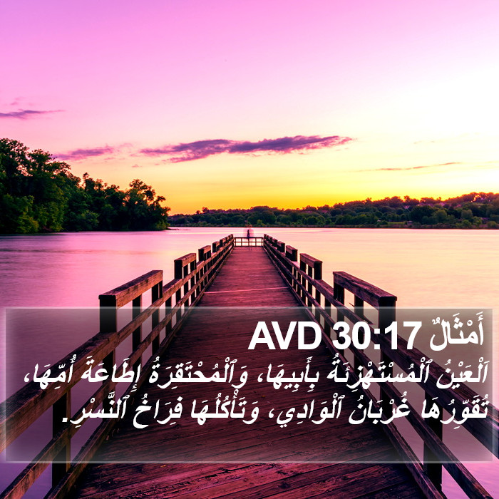 أَمْثَالٌ 30:17 AVD Bible Study