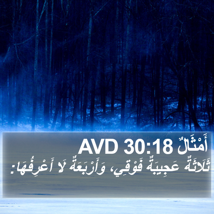 أَمْثَالٌ 30:18 AVD Bible Study