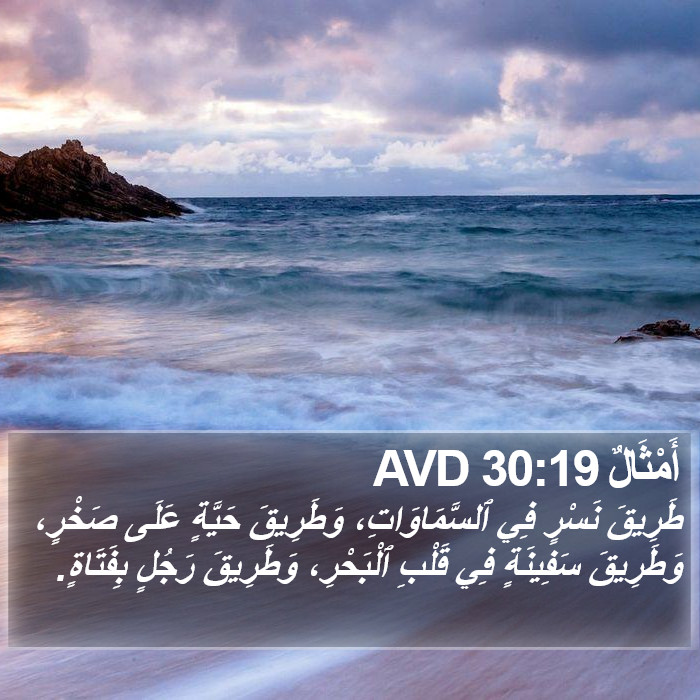 أَمْثَالٌ 30:19 AVD Bible Study