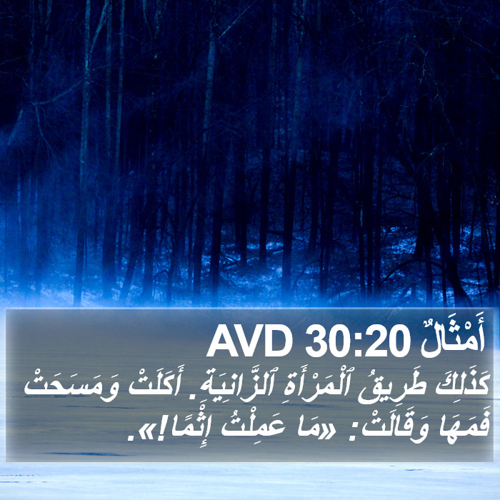 أَمْثَالٌ 30:20 AVD Bible Study