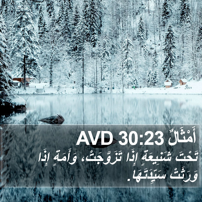 أَمْثَالٌ 30:23 AVD Bible Study
