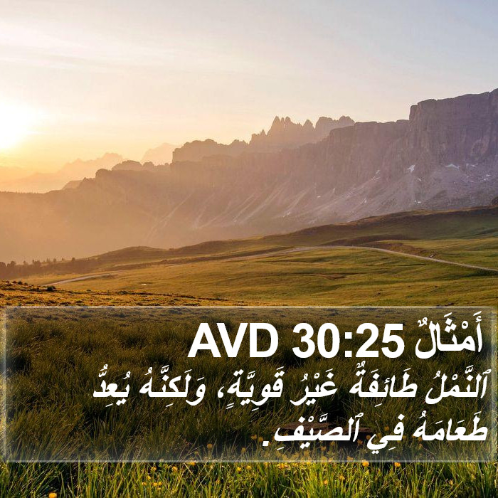 أَمْثَالٌ 30:25 AVD Bible Study
