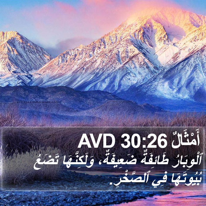 أَمْثَالٌ 30:26 AVD Bible Study