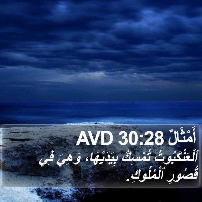 أَمْثَالٌ 30:28 AVD Bible Study