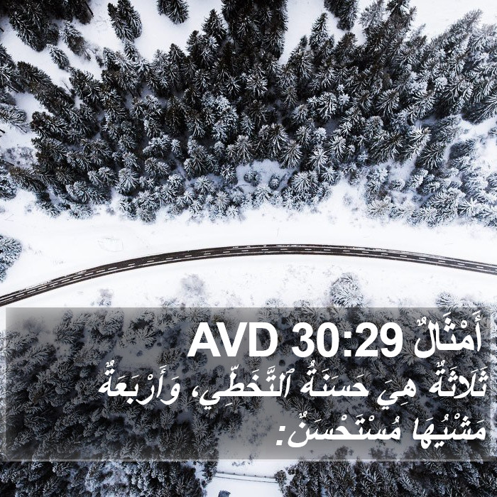 أَمْثَالٌ 30:29 AVD Bible Study