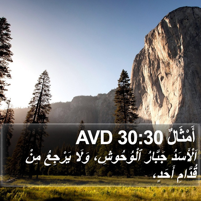 أَمْثَالٌ 30:30 AVD Bible Study