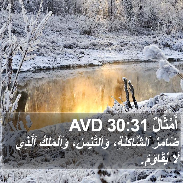 أَمْثَالٌ 30:31 AVD Bible Study