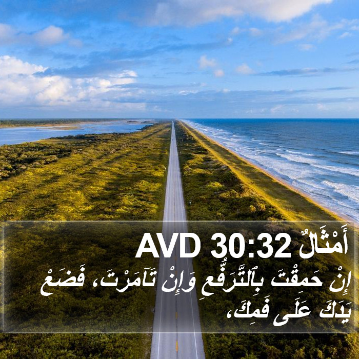 أَمْثَالٌ 30:32 AVD Bible Study