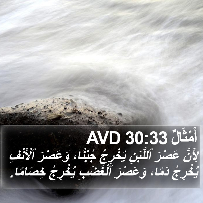 أَمْثَالٌ 30:33 AVD Bible Study