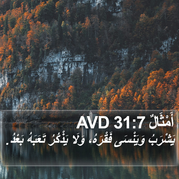 أَمْثَالٌ 31:7 AVD Bible Study