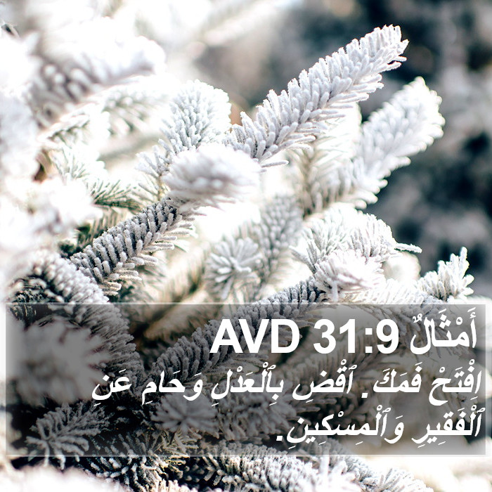 أَمْثَالٌ 31:9 AVD Bible Study