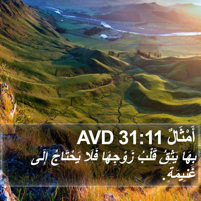 أَمْثَالٌ 31:11 AVD Bible Study