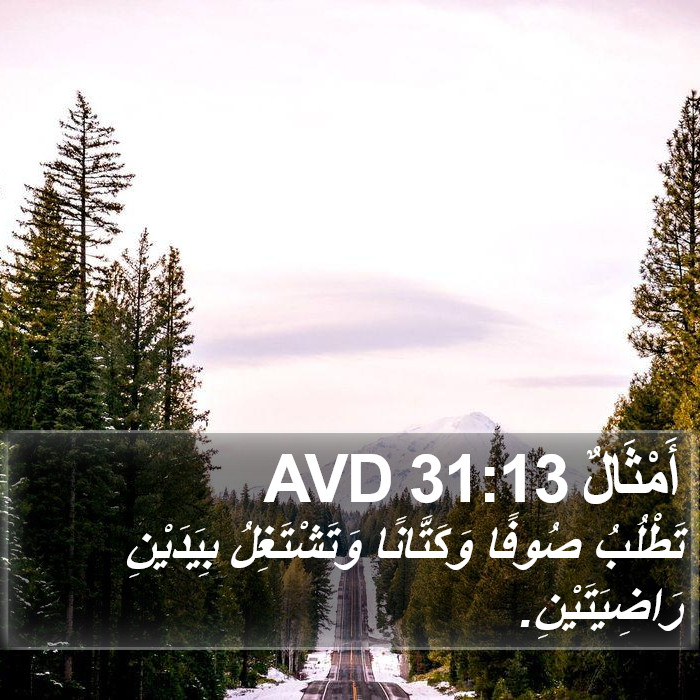 أَمْثَالٌ 31:13 AVD Bible Study