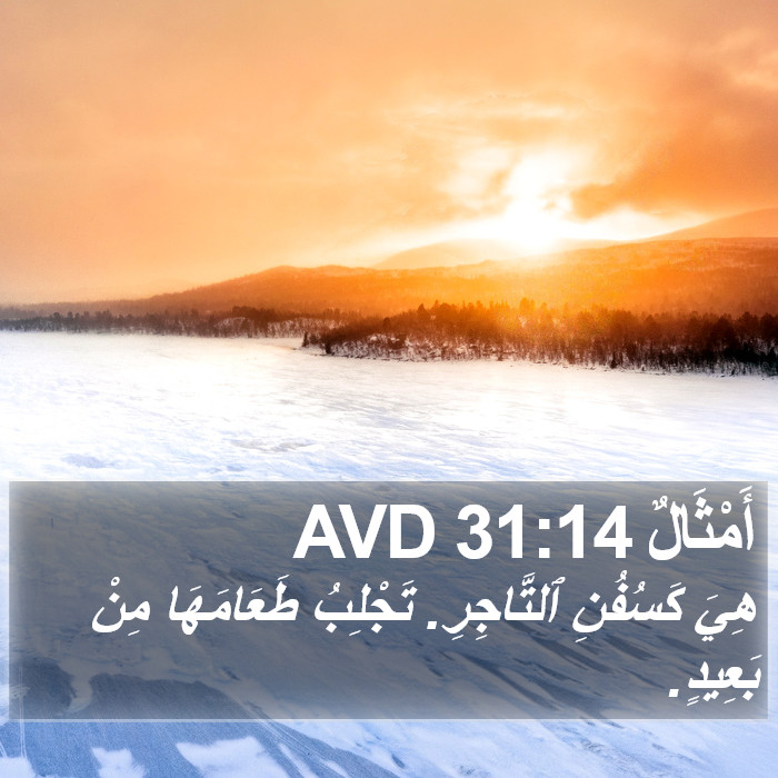 أَمْثَالٌ 31:14 AVD Bible Study