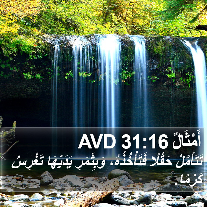 أَمْثَالٌ 31:16 AVD Bible Study