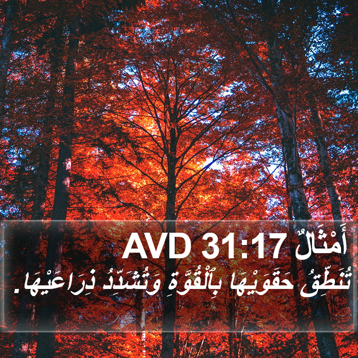 أَمْثَالٌ 31:17 AVD Bible Study