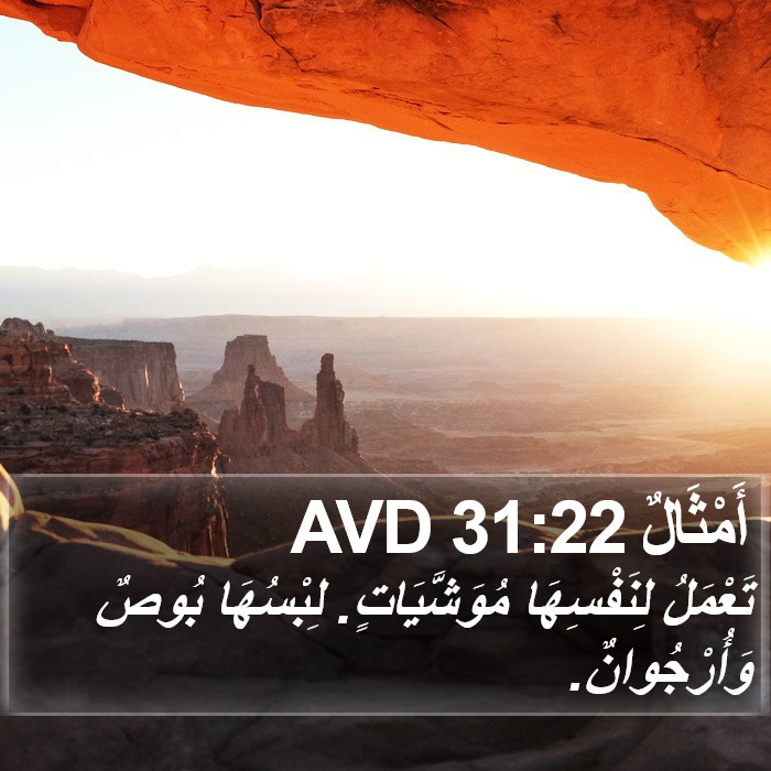 أَمْثَالٌ 31:22 AVD Bible Study