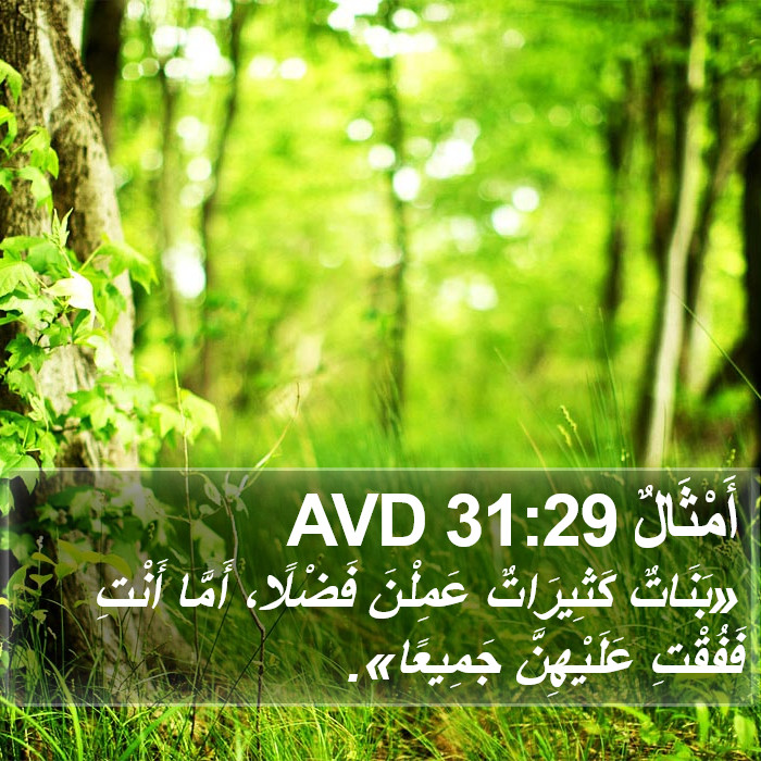 أَمْثَالٌ 31:29 AVD Bible Study