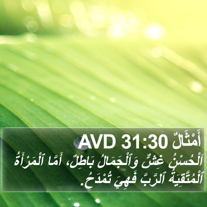 أَمْثَالٌ 31:30 AVD Bible Study