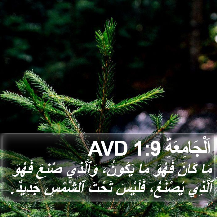 اَلْجَامِعَةِ 1:9 AVD Bible Study