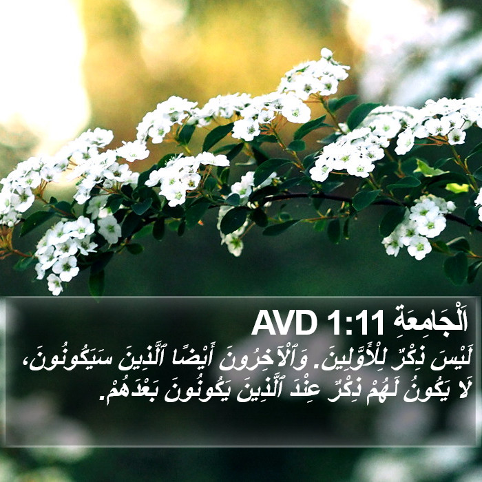 اَلْجَامِعَةِ 1:11 AVD Bible Study