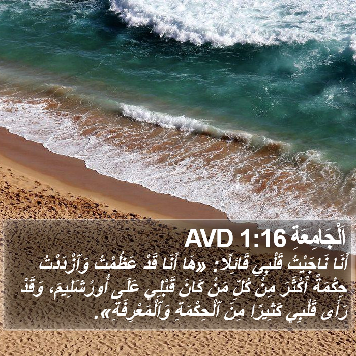 اَلْجَامِعَةِ 1:16 AVD Bible Study