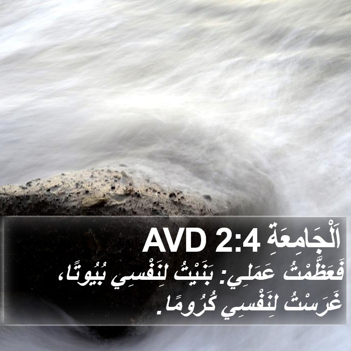 اَلْجَامِعَةِ 2:4 AVD Bible Study