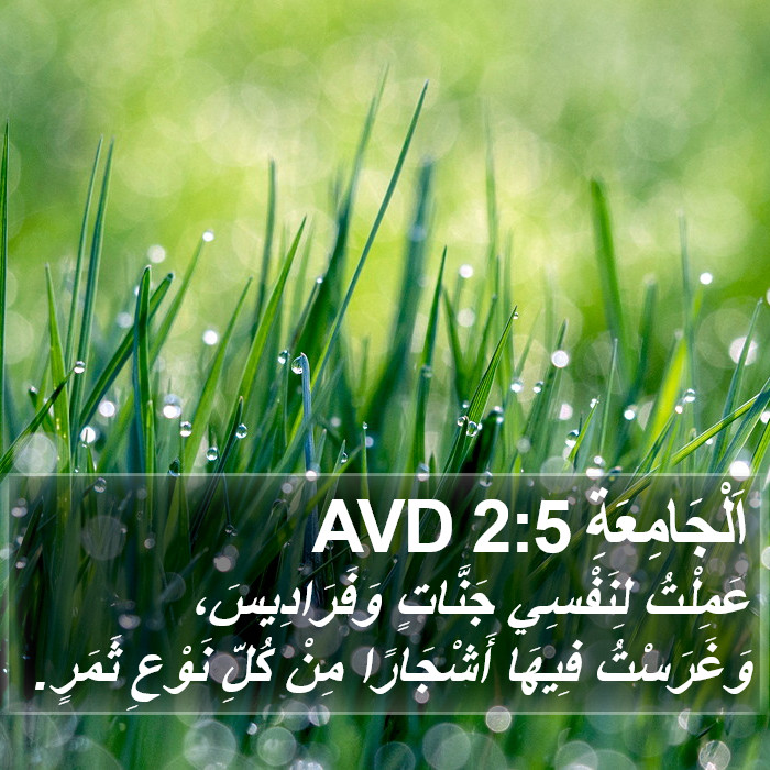 اَلْجَامِعَةِ 2:5 AVD Bible Study