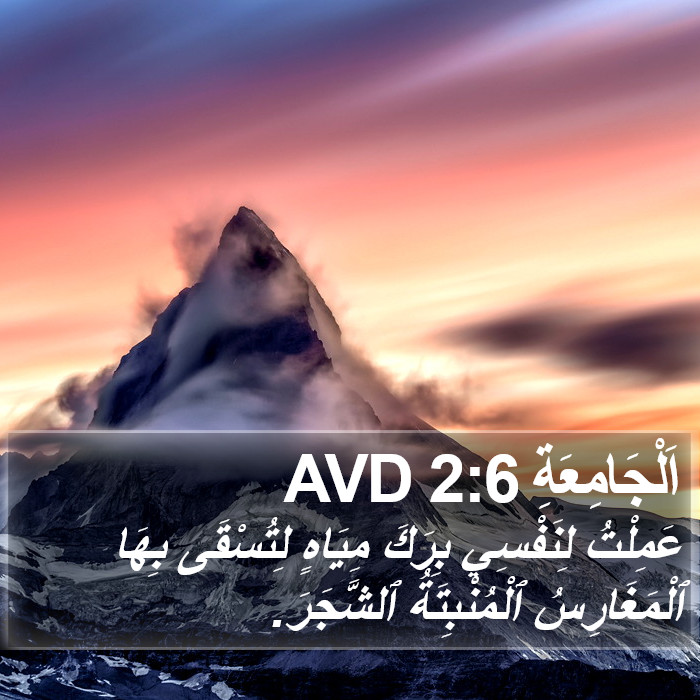 اَلْجَامِعَةِ 2:6 AVD Bible Study