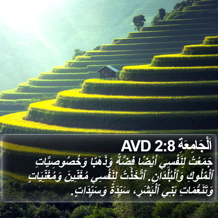 اَلْجَامِعَةِ 2:8 AVD Bible Study