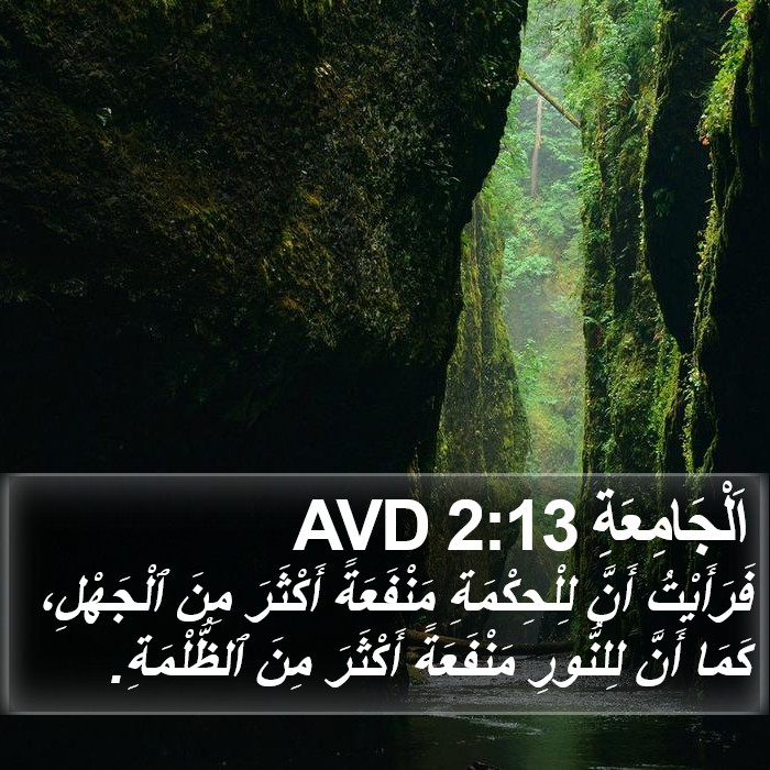 اَلْجَامِعَةِ 2:13 AVD Bible Study