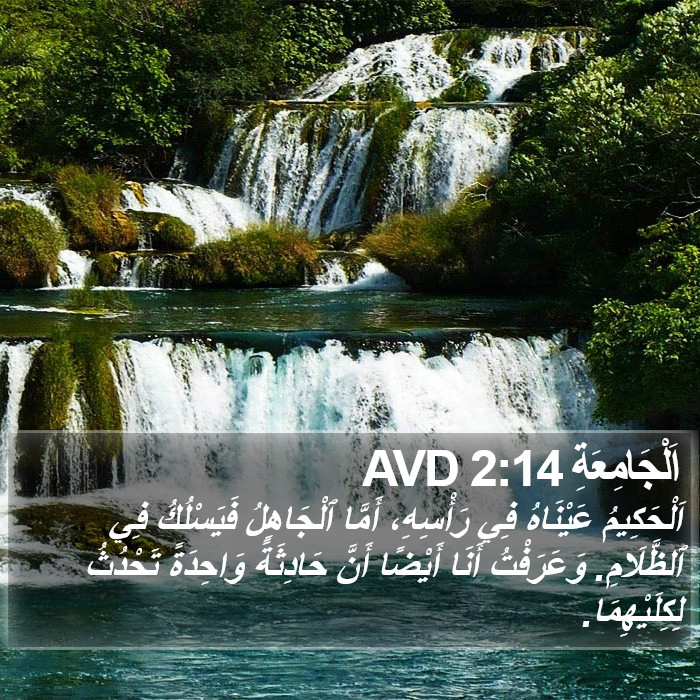 اَلْجَامِعَةِ 2:14 AVD Bible Study