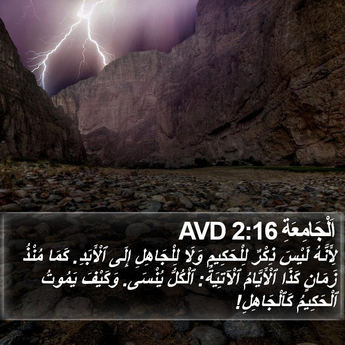 اَلْجَامِعَةِ 2:16 AVD Bible Study