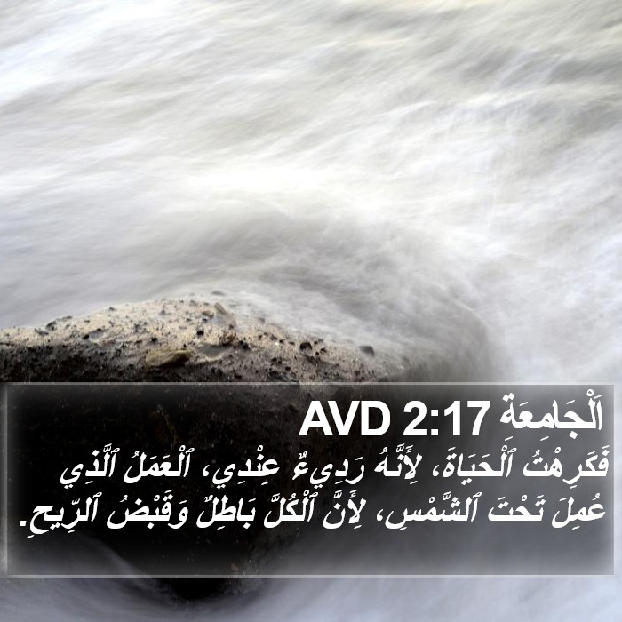 اَلْجَامِعَةِ 2:17 AVD Bible Study