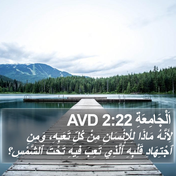 اَلْجَامِعَةِ 2:22 AVD Bible Study