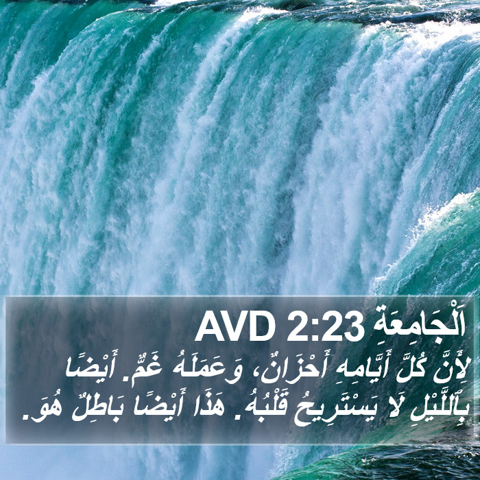 اَلْجَامِعَةِ 2:23 AVD Bible Study