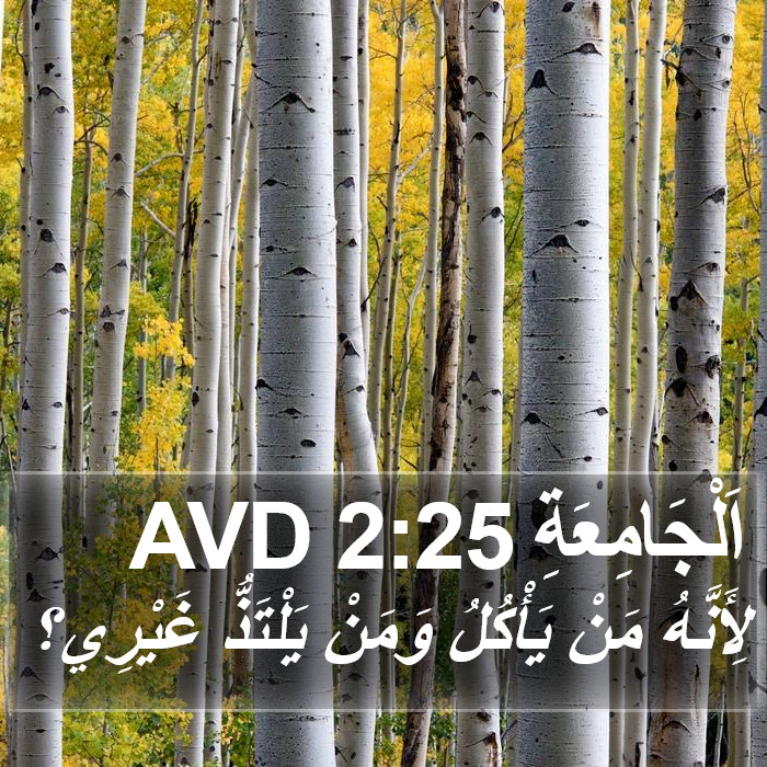 اَلْجَامِعَةِ 2:25 AVD Bible Study