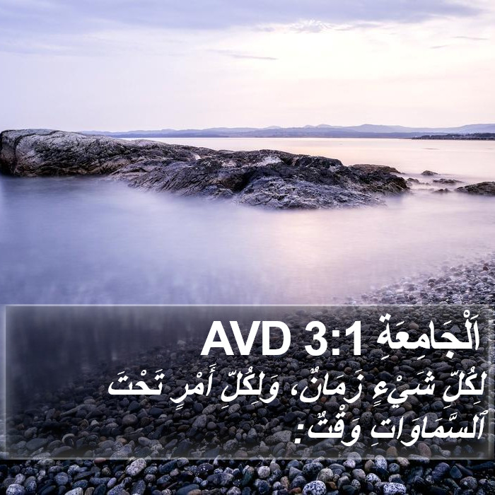 اَلْجَامِعَةِ 3:1 AVD Bible Study