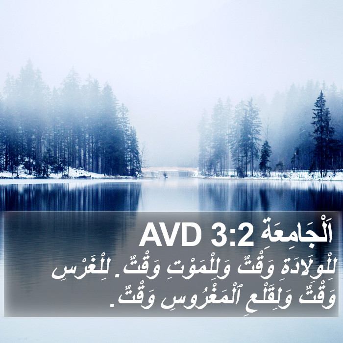 اَلْجَامِعَةِ 3:2 AVD Bible Study