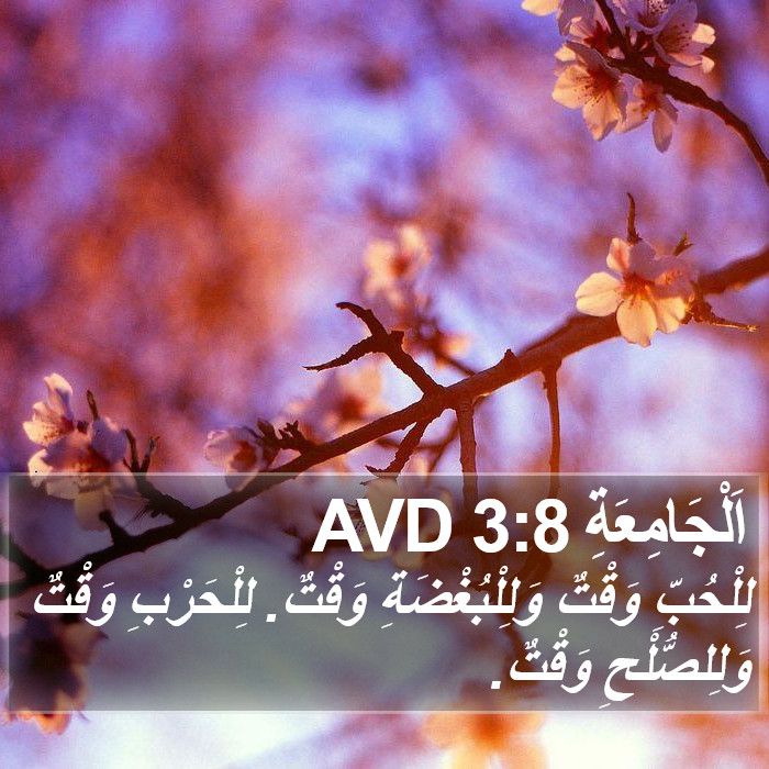 اَلْجَامِعَةِ 3:8 AVD Bible Study